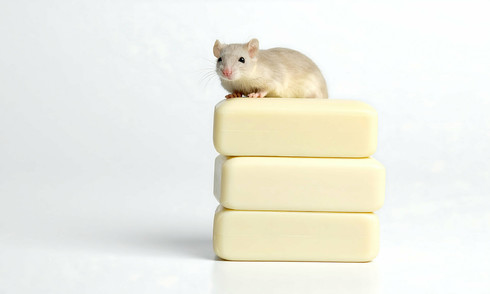 Unusual situations requiring rabies vaccination