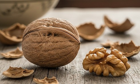Why you should eat nuts when losing weight