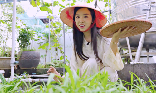 Miss Thuy An's 400 square meter rooftop garden