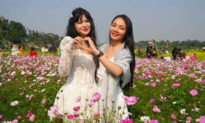 Visitors flock to Phuc Xa flower wharf for photos