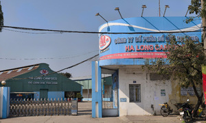 Halong Canfoco continues to pay workers during production halt