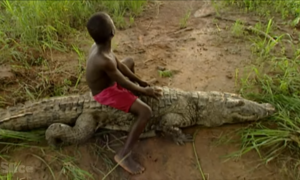 The only tribe living with crocodiles as family
