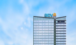 33 'sharks' to buy over 264 million BIDV shares