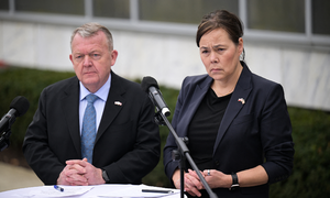 Danish delegation urges US congress to postpone Greenland vote