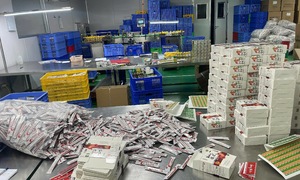 Ring selling hundreds of tons of fake functional foods uncovered