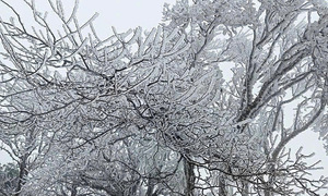 Strong cold front sweeps into northern Vietnam tonight
