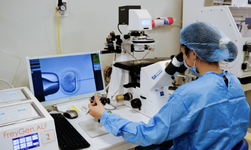 Infertility due to hyperthyroidism