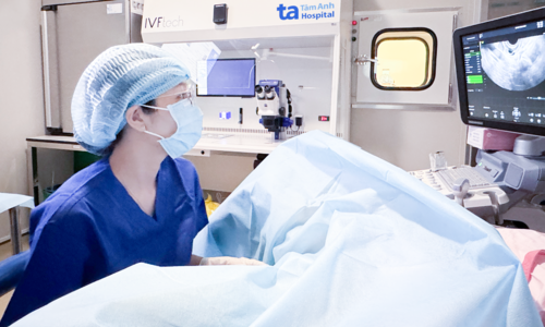 Egg accumulation for in vitro fertilization to have a child