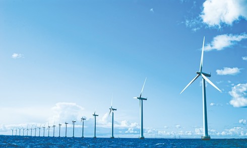 EVN, PVN allocated nearly 64,000 hectares of sea for offshore wind power surveys