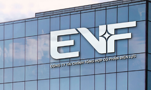 EVF reports over 1,100 billion dong in pre-tax profit for 2025