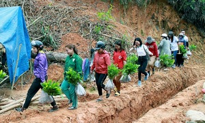ABBank plants trees, supports livelihood creation for local communities