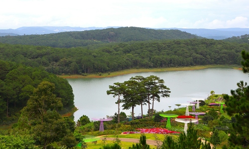 Vietnamese travelers favor Da Lat most for Lunar New Year
