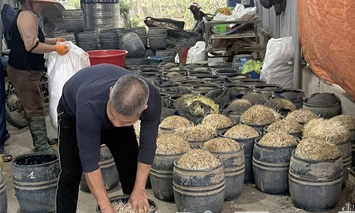 Two women charged for producing 3 tons of bean sprouts laced with banned substances