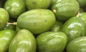 How avocados benefit your health