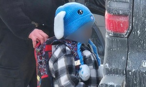 ICE agents accused of arresting 5-year-old student