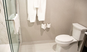 Should you move out when your roommate has genital warts?