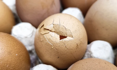 Should one eat an egg with a cracked shell?
