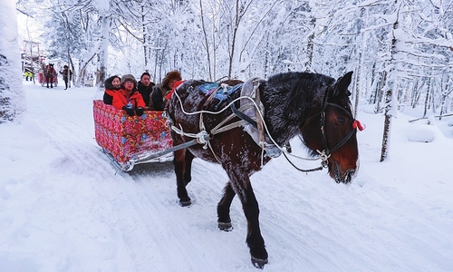 ‘Exile tourism’ trend flourishes in China