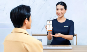 iDepo VIB: a tool to turn idle money into a profitable reserve fund