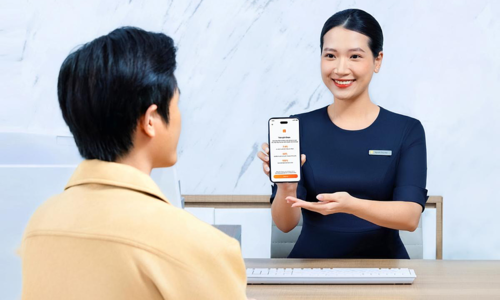 iDepo VIB: a tool to turn idle money into a profitable reserve fund