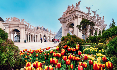 Spring travel to admire tulips and participate in festivals at Sun World Ba Na Hills