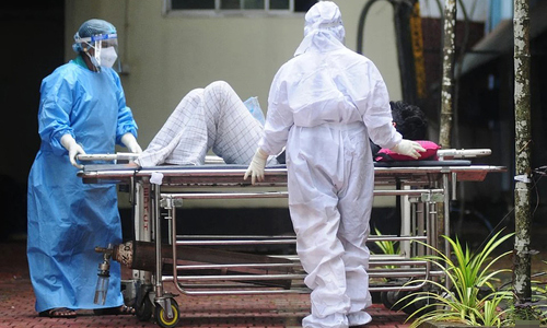 Date palm sap suspected as source of Nipah virus for two nurses