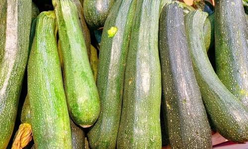 7 health benefits of eating zucchini