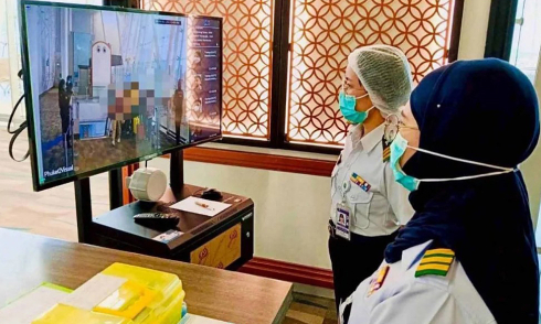 Expert: Nipah outbreak risk in Vietnam low despite bat antibody detection