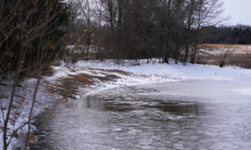 A mother helplessly watches her three children die in an icy pond
