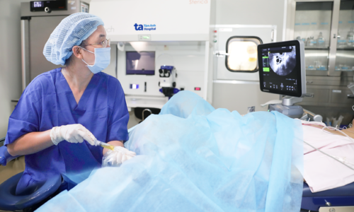 From Germany to Vietnam for in vitro fertilization