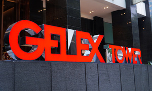 Gelex reports record profit