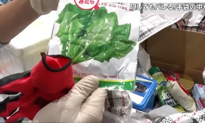 Vietnamese traveler caught hiding vegetable seeds upon entering Japan