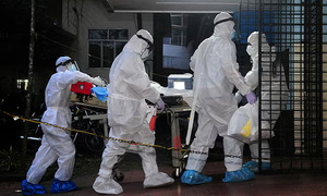 WHO says Nipah virus shows 'no signs of widespread transmission'