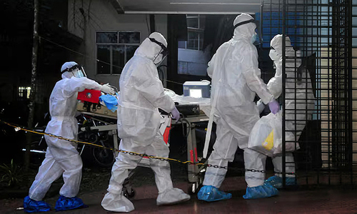 WHO says Nipah virus shows 'no signs of widespread transmission'