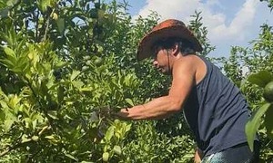 Young scion with three master's degrees abandons villa to wash dishes