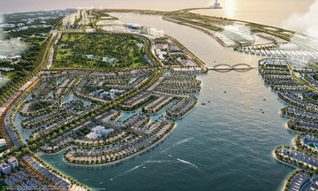 Can Gio hosts its first large-scale spring festival