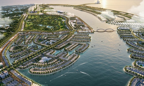 Can Gio hosts its first large-scale spring festival