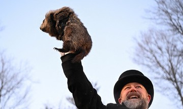 Thousands flock to Pennsylvania to see 'prophet groundhog'