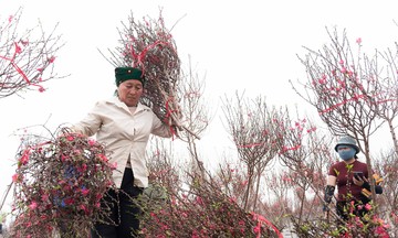 Northern Vietnam may experience strong cold spell before Tet