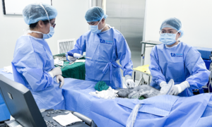 Biological glue injection for lower limb varicose vein treatment