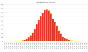 Hanoi university of science and technology announces thinking assessment test scores