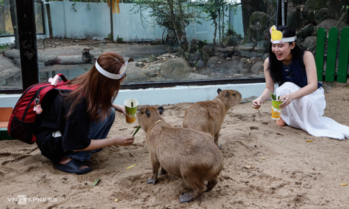 Thao Cam Vien posts five consecutive years of profit