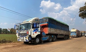 Prime minister calls for immediate resolution of goods congestion at border gates