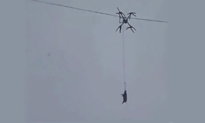 Farmer causes village-wide blackout using drone to transport pigs