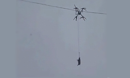 Farmer causes village-wide blackout using drone to transport pigs