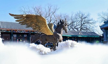 Horse mascots draw attention across China