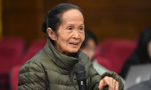 Pham Chi Lan: No win-lose between state and private economies