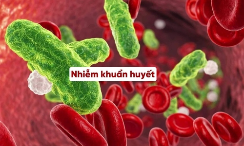 How dangerous is pneumococcal bacteria?