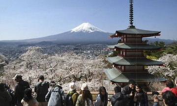 Japan cancels iconic cherry blossom festival