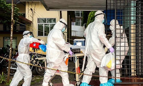 WHO confirms death from Nipah virus infection